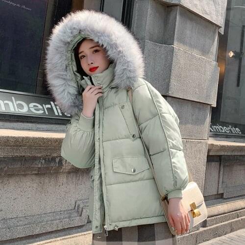 2021 Winter New Fashion Korean Version of The Hooded Down Padded Jacket Womens Short Thick And Thin Net Red Padded Jacket