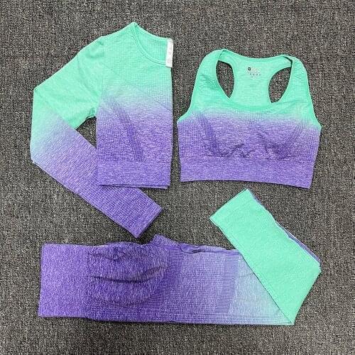 Ombre Women Yoga Set Seamless Sportswear High Waist Leggings Sports Bra Running Pants Gym Clothing Fitness Workout Sports Suit