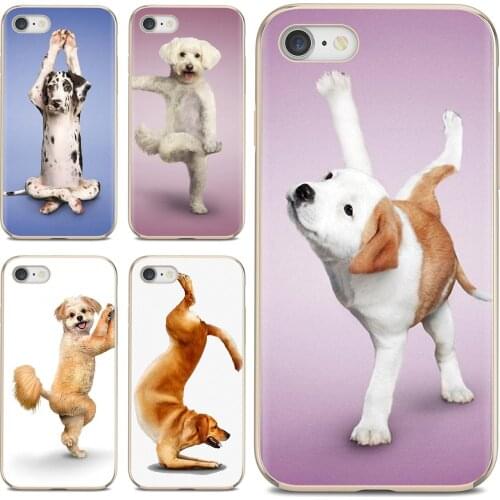 Yoga Cats dogs Silicone Shell Case For Samsung Galaxy A10 A40 A50 A70 A3 A5 A7 A9 A8 A6 Plus 2018 2015 2016 2017