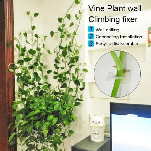 100PCS Garden Vegetable Plant Support Binding Clip Vine Plant Climbing Wall Fixer Non-marking Self-adhesive Hook