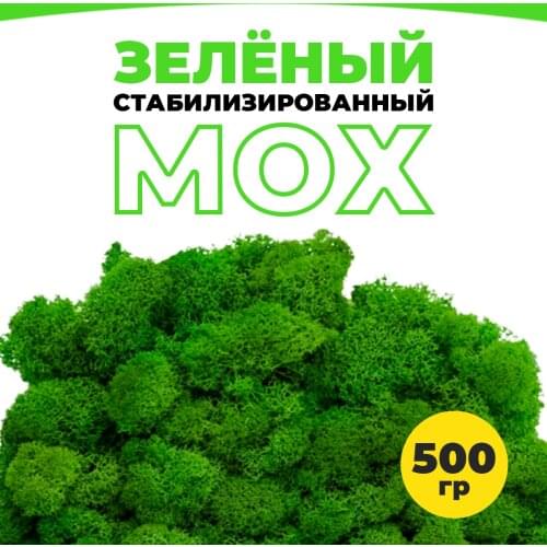 Stabilized moss Artificial Compositions