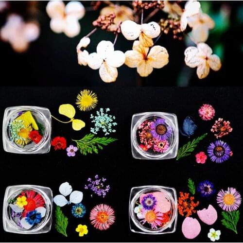4Pots Mixed styles fresh nails natural dried flowers green leaf for uv gel nail art uv gel tips decoration nail supplies tool
