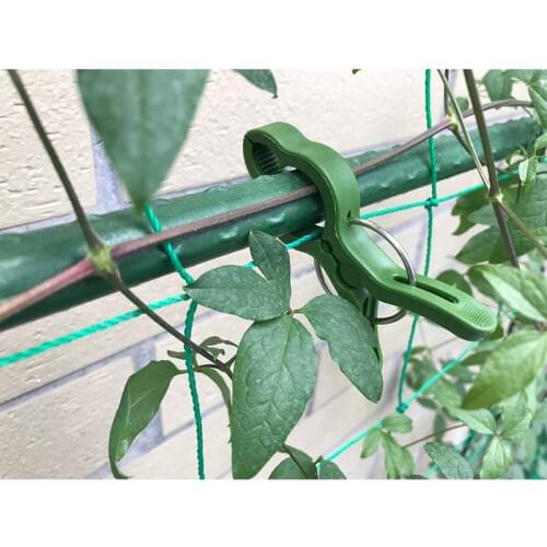 60PCS Fastener Greenhouse Bracket Clamp Flower Seedling Stem Support Plant Grafting Stakes Connector Garden Clips