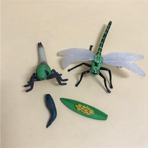 Pvc figure model toy life circle dragonfly doll ornaments 4pcs/set