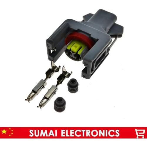 2Pin Delphi Auto fuel spray nozzle/oil atomizer plug,2 Pin Car Electrical plug for Delphi connector,VW,Audi