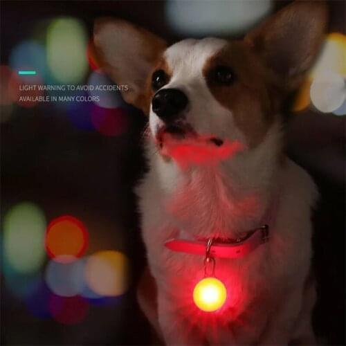 Адресники для собак BOUSSAC China At AliExpress