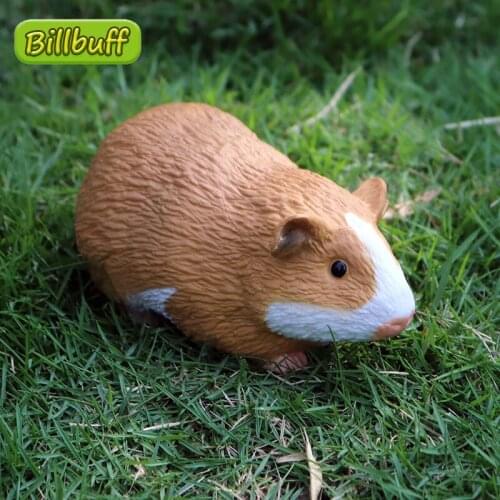 11cm Simulation Wild Animal PVC Action Model Guinea Pig Figures Collection Doll Educational Toy for Children Kids Ornaments Gift