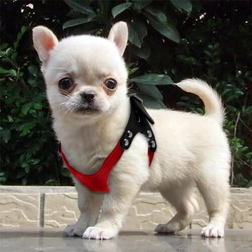 Belt Dog Harness Soft Comfort Dog Chest Strap Adjustable With Classic Explosion-Proof Buffer Chest Strap For Pet Dog Pet Supplie