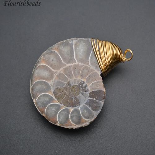 Natural Ammolite Snail Wire Wrapped Stone Pendants 5pc per lot Free shipping