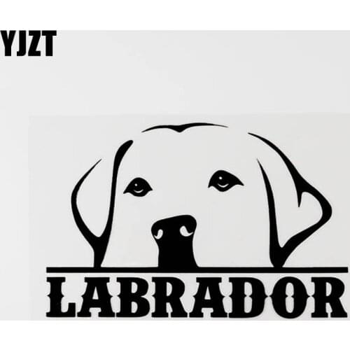YJZT 16.3CM×10.4CM Cute Labrador Peeping Vinyl Decal Car Window Sticker Black/Silver 8C-0553