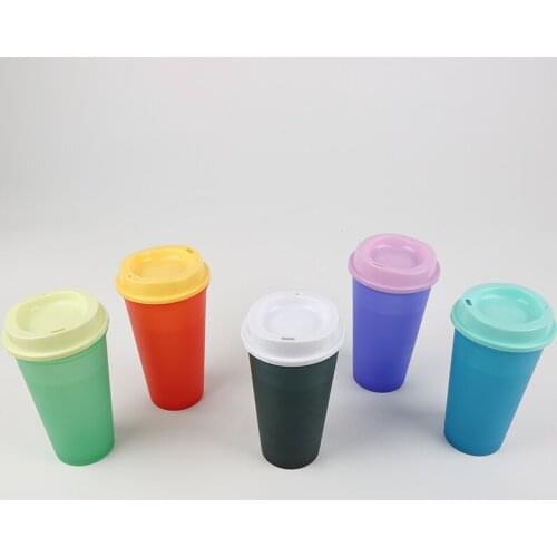 5PCS Reusable Color Changing Cold Cups Summer PP Material Coffee Mugs Water Bottles With Straws Set For Family Friends Cup