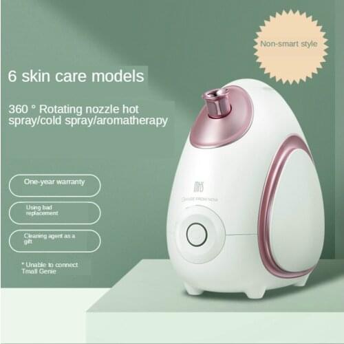 Facial Vaporizer Hot and Cold Double Spray Nano Spray Hydrating Facial Steamer Household Facial Moisturizing Humidifier Steam