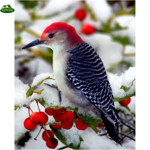 5D DIY Diamond Painting Tree and Pink Fruits Cross Stitch Colorful Birds and Fruit Picture Crystal Rhinestone Pasted Home Decora