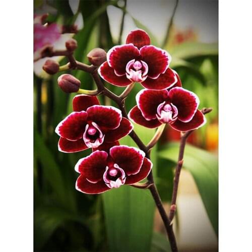 Flower arranging 5D DIY diamond Painting flowers Cross Stitch diamond embroidery mosaic diamonds wall stickers home decor vase