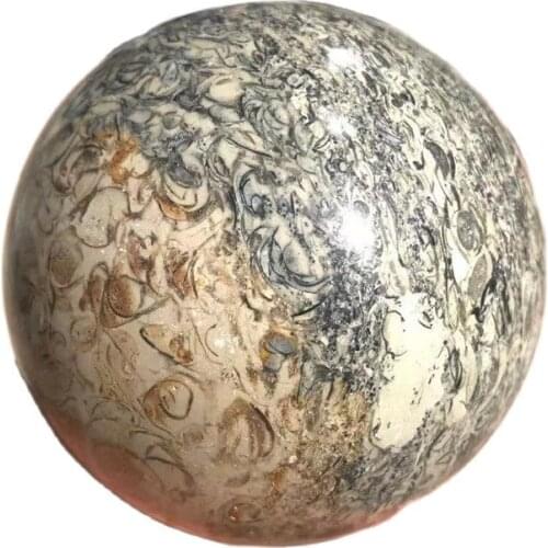 Natural dinosaur bone fossil sphere crystal ball natural madagascar stone healing crystal