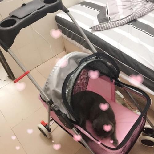 1minute to install simle folding pet stroller large space breathable dog strollers safe and reliable dog carrier for M size dog