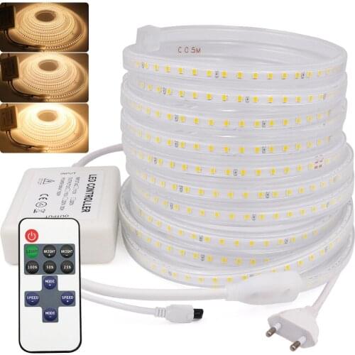 EU 220V LED Strip High Brightness Waterproof 2835 120LEDs/m White/Warm White/Blue Flexible Ribbon Tape LED Light