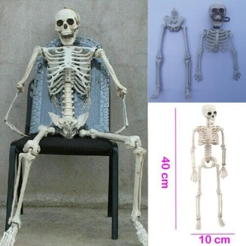Halloween Props Skeleton Fashion Scared Skeleton Skull Hand Lifelike Human Body Poseable Anatomy Model Party Festival Decoration