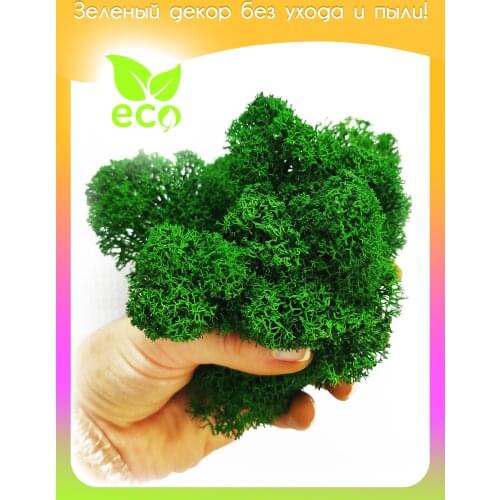 Radiance Artificial Plants