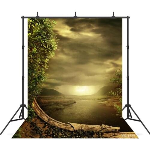 Sunset Photography Background for Photo Shoot Props Child Kids Baby Vinyl Cloth Computer Printed Photo Backdrop Photo Studio
