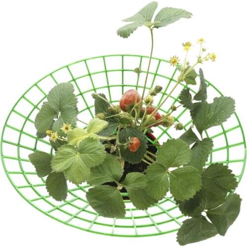 Strawberry Stand Frame Holder Balcony Planting Rack Fruit Support Plant Flower Climbing Vine Pillar Gardening Vegetable Vine Rac
