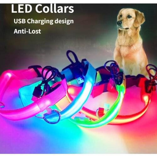 USB Charging Led Dog Collar Anti-Lost/Avoid Car Accident Collar For Dogs Puppies Dog Collars Leads LED Supplies Pet Products