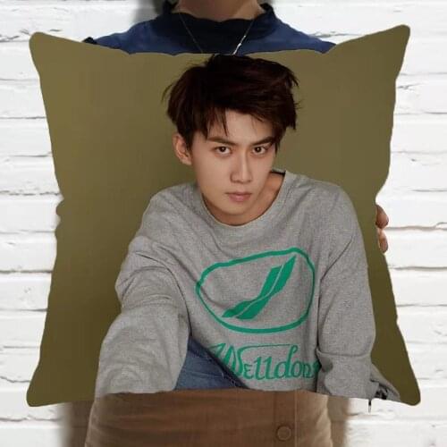 TV Series Meow Make A Wish Ren Youlun Ge Xinyi Same Style Pillowcase Star Series Cushion Cover Home Decor Idol Souvenir Gift