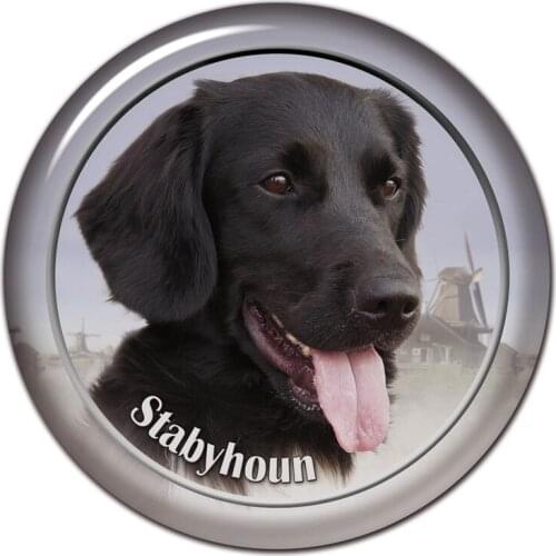A0648# Various Sizes Removable Decal Stabyhoun Breed Pet Dog Car Sticker Waterproof Accessories on Bumper Rear Window Laptop