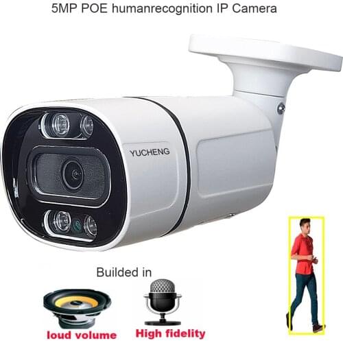 CamHiPro Humanoid 5MP 4MP 2MP PoE IP camera security ip camera MIC speaker onvif P2P outdoor