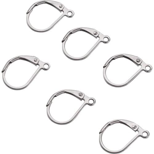 100pcs Earring Hoop 304 Stainless Steel Leverback Earring Findings for Jewelry Making DIY Findings 10x15mm