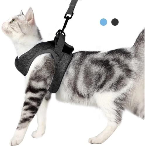 WAZIR Cat Collar Comfortable Lightweight Cat Soft Anti-Escape Elastic Pet Kitten Walking Straps Running Cushion 360 Wrap-around