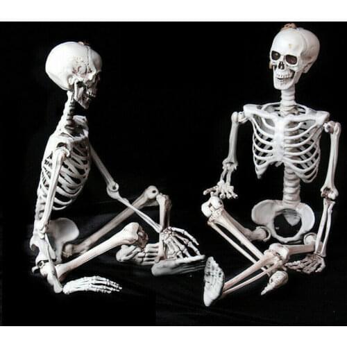 40cm Movable Bones Skeleton Human Model Skull Full Body Mini Figure Halloween Party Prop Hot