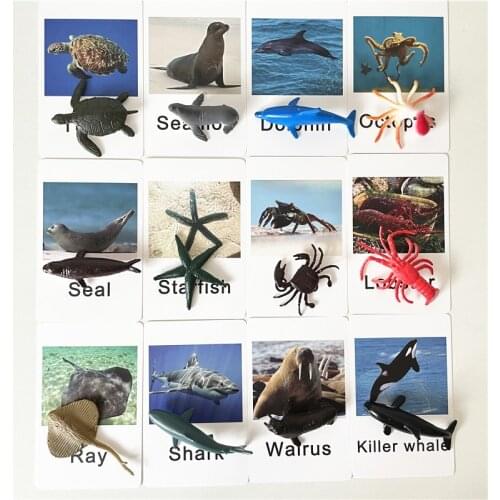 Baby Montessori Animal Match Cards Marine Insect Poultry Zoo Animals Shape Sorting Toy Language Materials Preschool Learning Toy
