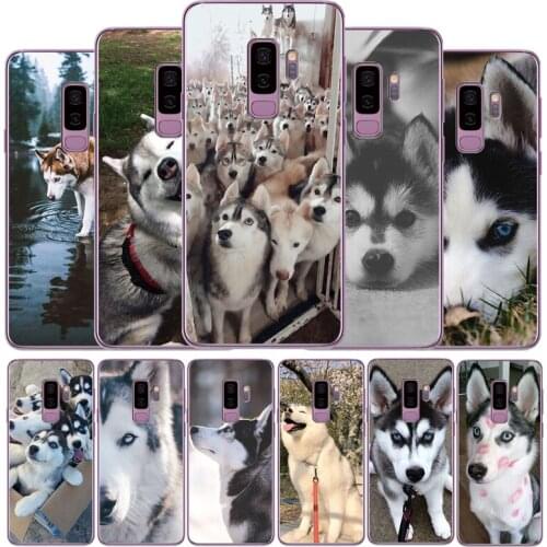 Husky Soft Silicone Phone Case For Samsung S7 EDGE S7 S8 S9 S10 S20 Plus S10lite Note 8 9 10 A30 A40 A50
