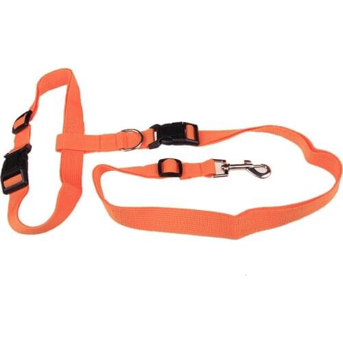 My Pet Leashes For Dogs