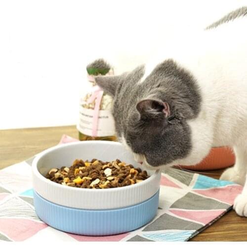 Non-slip Ceramic Pet Bowl Cat Puppy Feeding Supplies Double Pet Bowls With Raised Stand Pet Food And Water Bowls