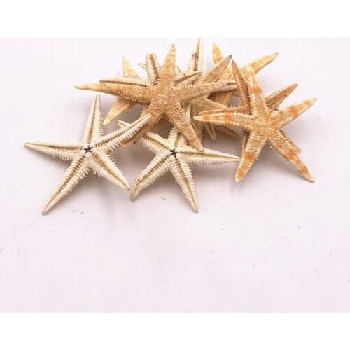 Size 3-4cm 50pcs Mini Starfish Craft Decoration Natural Sea Stars Five finger DIY Beach Cottage Wedding Decor DIY wedding