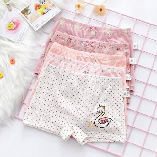 Dangdangshu Underwear For Girls