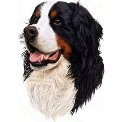 Needlework,11ct/14ct cross stitch embroidery kit bernese mountain dog printed pattern cross stitch handwork painting gift