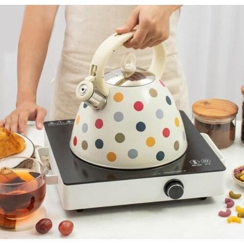 3L Whistle Kettle Stainless Steel Whistling Tea Kettle Camping Kitchen Hot Water Pot With Handle For Gas Induction Cooker