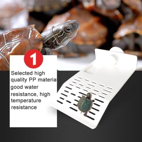 Turtle Island Platform Aquarium Reptile Hollow Dock Floating Aquarium Decor pjop