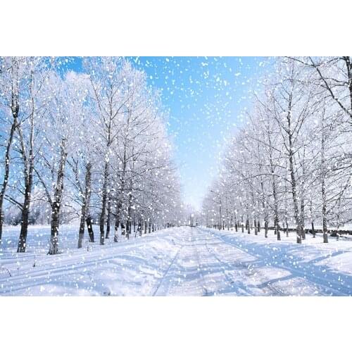 MEHOFOTO Winter Snow Tree Road Light Portrait Scenic Photographic Backgrounds Customized Photography Backdrops For Photo Studio