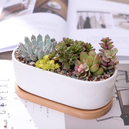 Minimalist White Ceramic Succulent Plant Pot Porcelain Planter Home Office Decoration Christmas Gift