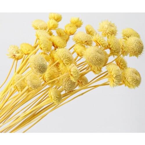 Dried Flower Grass Decoration Photography Props for Store Wedding Flower Bouquet Floral Arrangement for Home Decor can C