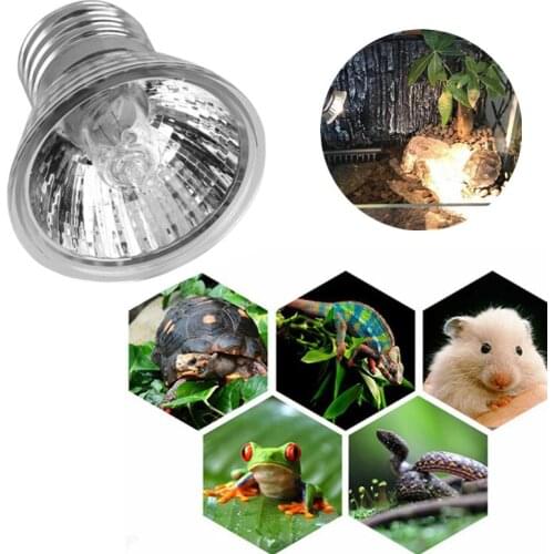 25/50/75W Turtle Heating Lamp Bulb Reptile Basking Lizard Snake Light Bulb Heat Temperature Controller