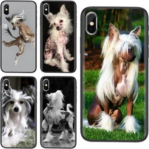 Dog Of Breed Chinese Crested Stores For Xiaomi Mi11 Mi 11 Pro Ultra Lite 10T 10S Mi9 Poco X3 NFC F3 Black Waterproof Painting