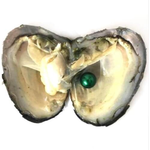 10pcs/lot Oysters with Edison Round Pearls Beads 9-12 mm Rainbow Color Freshwater Pearls DIY Gift Jewelry Vacuum-pack FP005