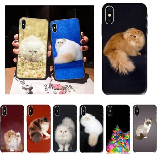 XWYING Cute Persian Cat Phone Case For iPhone 12 Mini 11 Pro XS Max X XR 7 8 Plus