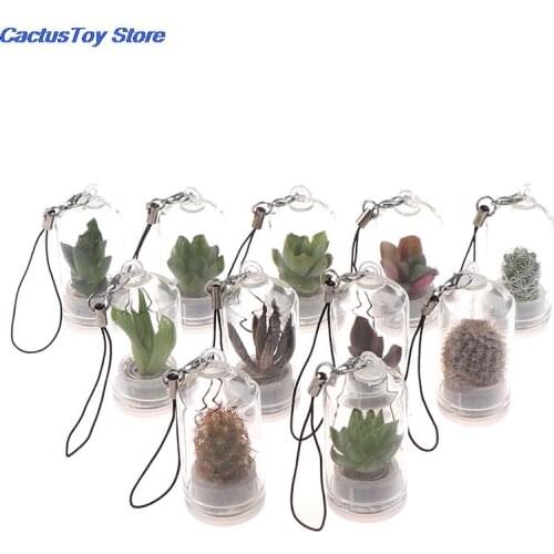 Miniature Succulent Cactus Terrarium Wearable Necklace Live DIY Succulent Plant Pendant Random Style 2.5*5cm New