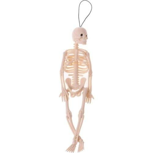 Skeleton Human Model Skull Full Body Mini Figure Toy Phone Hanger Halloween 77HD